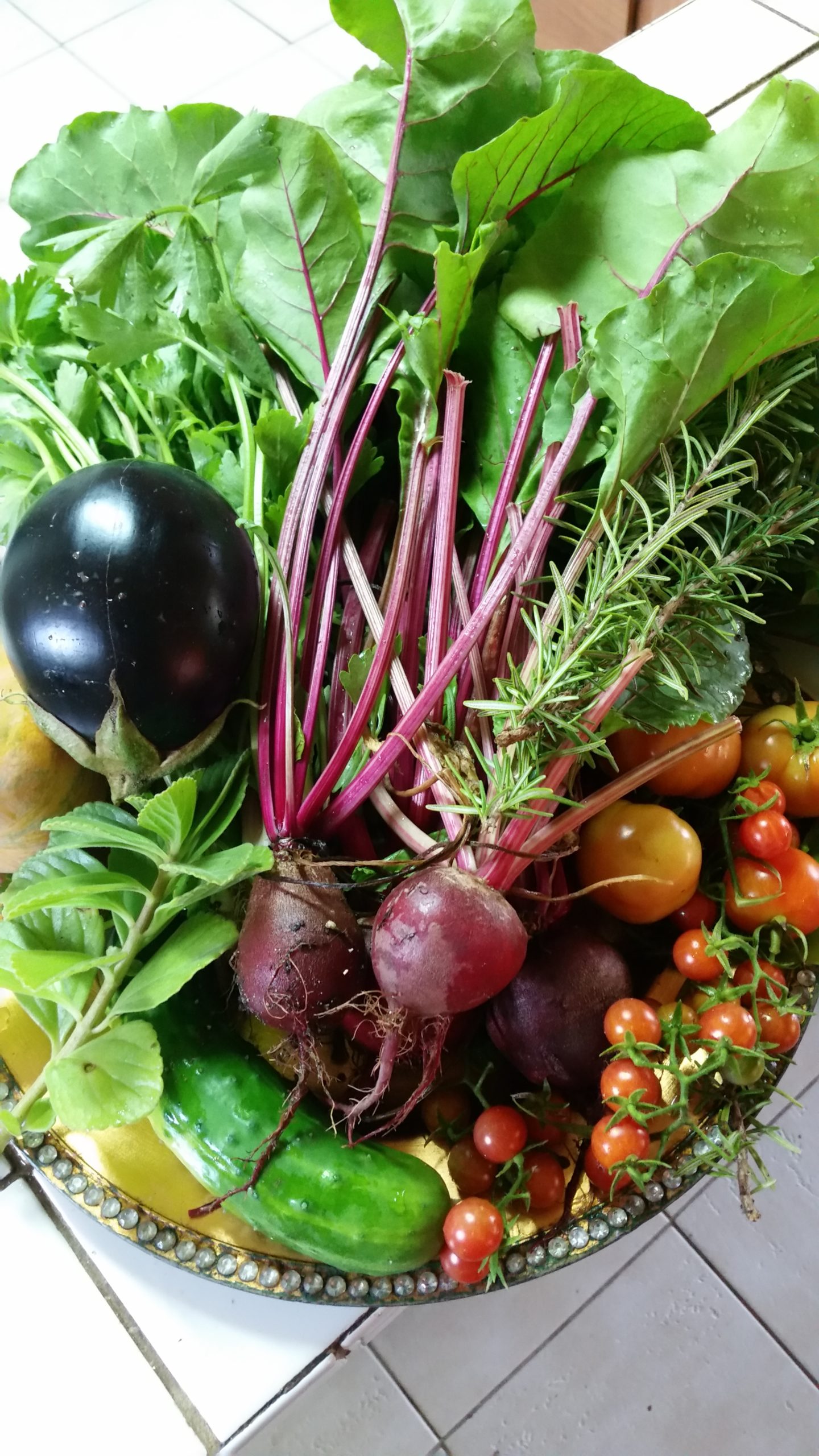 Veg-plater-2018-scaled